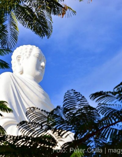 Vietnám Nha Trang Buddha (1)